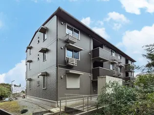 ヒラリバーの画像