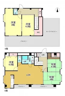 キャニオンクルーズ【501号室】の間取り