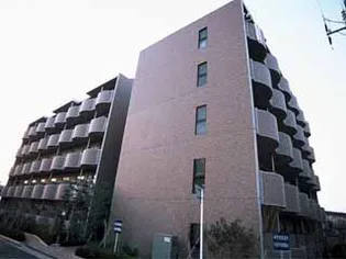 レオパレスパティオ【3階】の外観