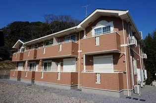 プラシード ー エムの画像