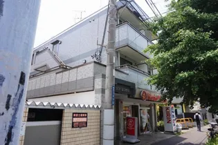 サンネコザネの画像