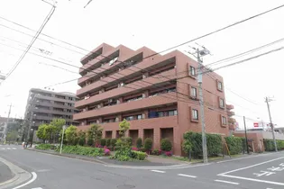 クリサンテーム妙典の画像