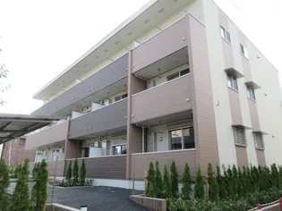 ロイヤル サトックスの画像