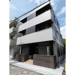 カーサリリーの画像