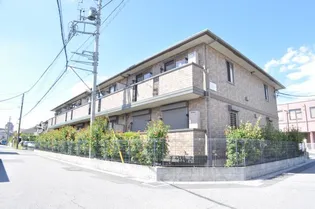 サニー ウェルの画像