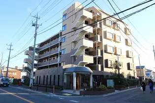 日神パレステージ市川の画像