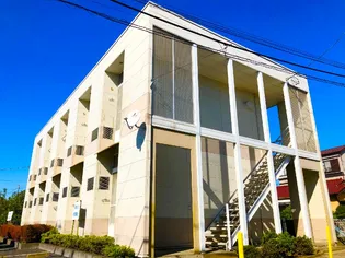 レオパレスN.K【2階】の外観