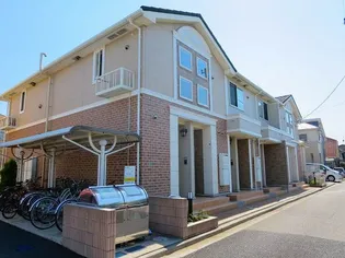 サラソウジュの画像