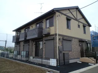 プルメリアの画像