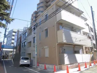 ステラカーサの画像