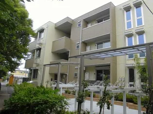 シーガルの画像