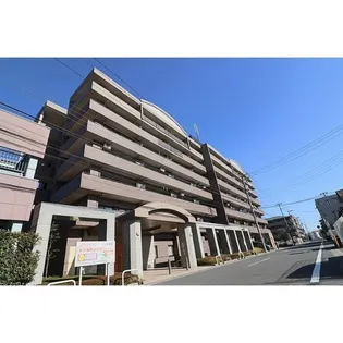 クリサンテーム妙典IIの画像