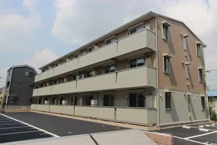 ステラ ルーチェの画像