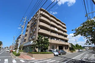 エーヴィゲス市川の画像