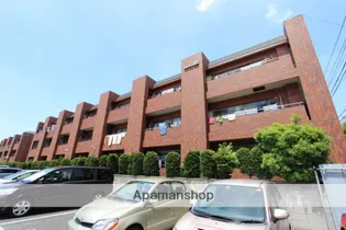 ウィステリア エコーNO 3の画像