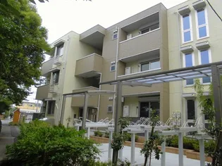 シーガルの画像