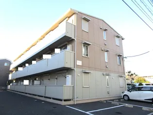 ステラ ルーチェの画像