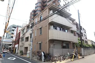ステラカーサの画像