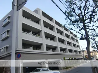 エスペランサの画像