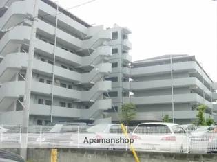 アフィニス原木の画像