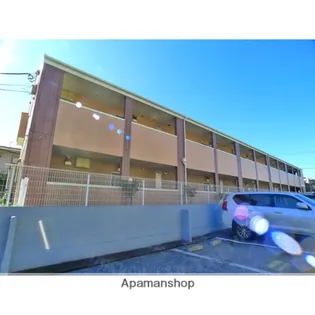 プリムローズKの画像