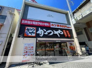 エルメゾン菅野【103号室】の周辺