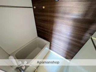 プランドール吉野【501.号室】の風呂