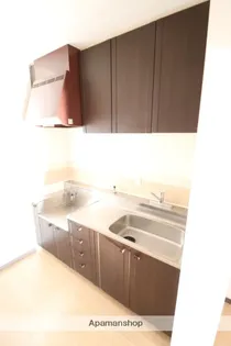 プランドール吉野【501.号室】のキッチン