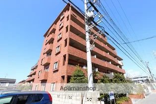 フローラルマキノの画像