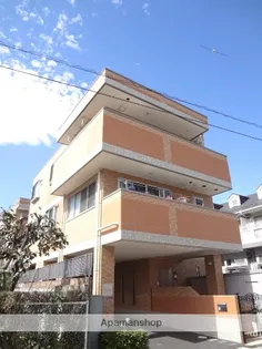 EVER LASTINGの画像