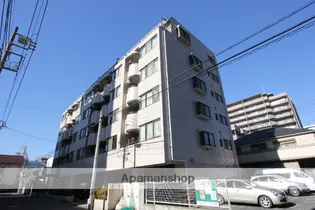 パルパステルの画像