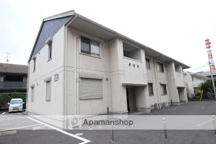 ルッコラの画像