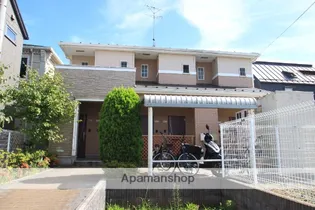 シェリールの画像