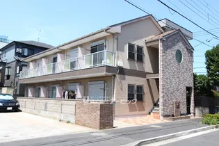 リリックコートコスモスの画像