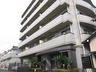 メゾンプルミエ弐番館【6階】の外観