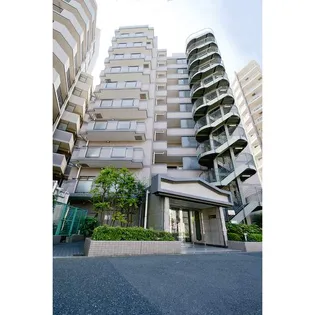 ルピナス静和の画像