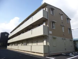 ステラ ルーチェの画像