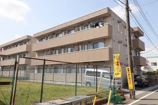 シャルマンの画像