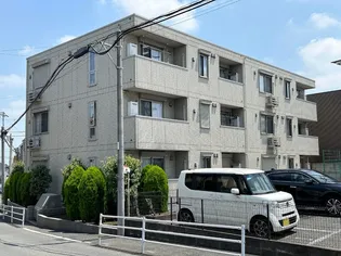 メゾンドールの画像