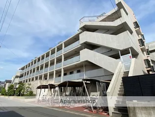 エバーグリーンの画像