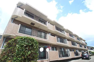 サンルミエール【1階】の外観