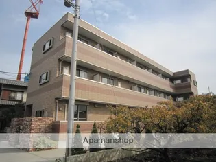 ドゥミエール ソフィアの画像