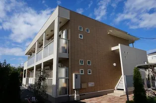 アイ プラシードの画像