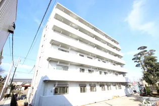 サンライズコードの画像