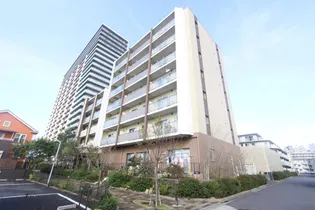 ディナモ ボアの画像