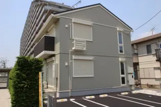 エバーグリーンの画像