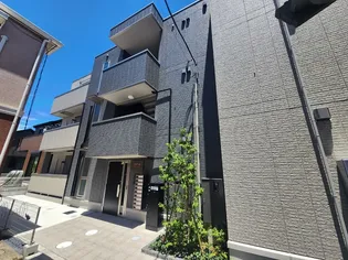 トップXVの画像