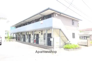 アガパンサスの画像