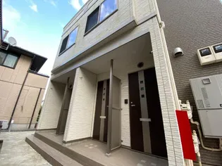 グレース ステラの画像