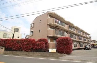 サンルミエール【1階】の外観